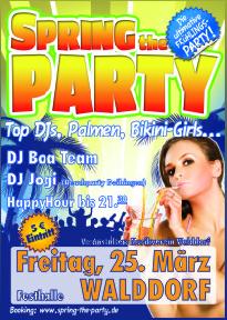 internetWaldorfSpringFlyer