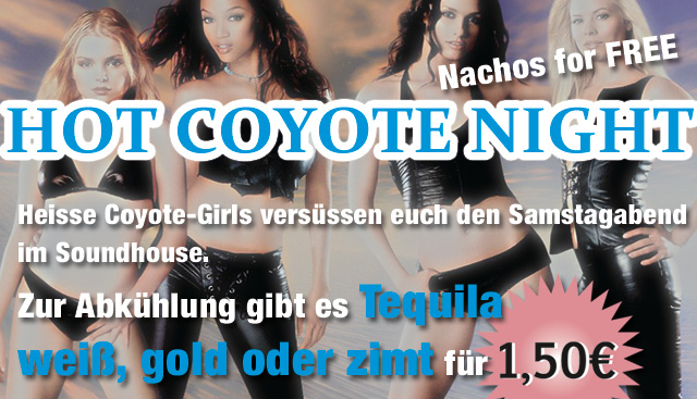 hot coyote night